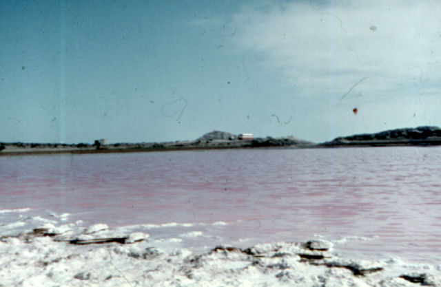 pan3